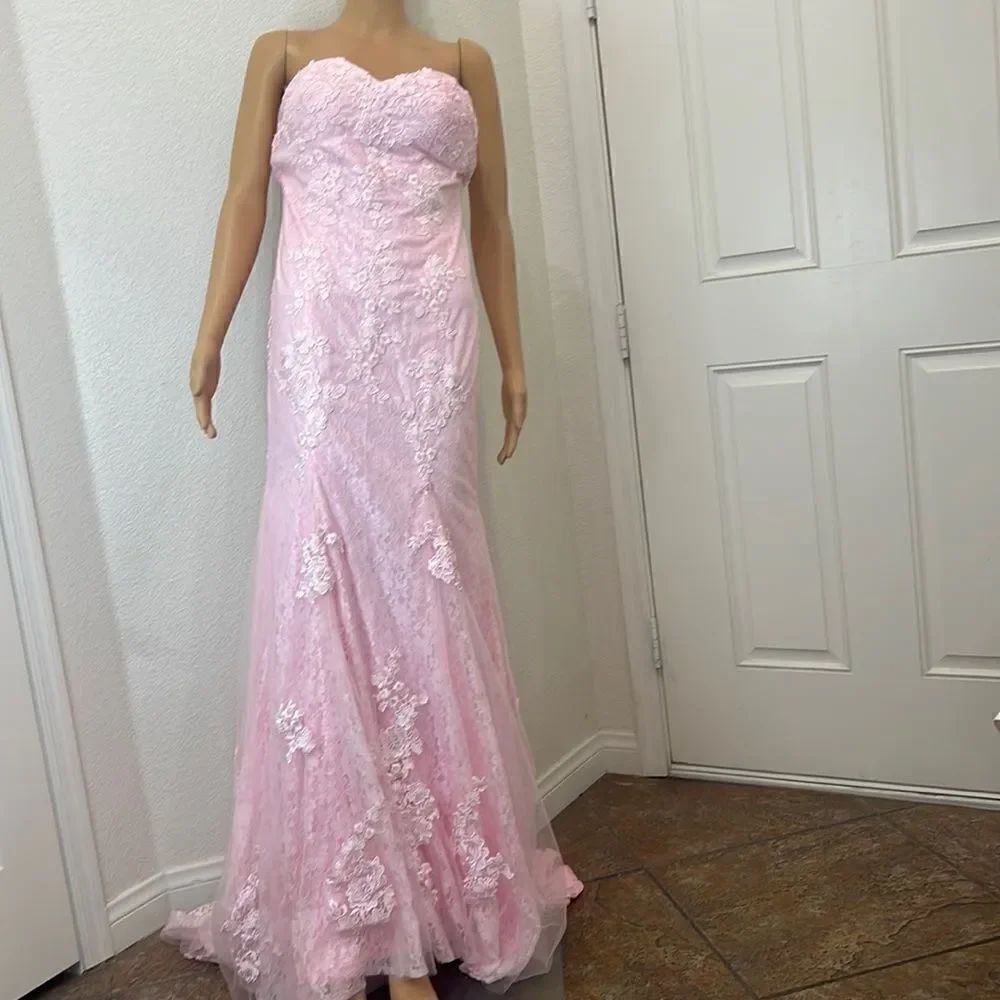 Hebron Pink Wedding Dress Sheer Embroidered Floral Lace High End